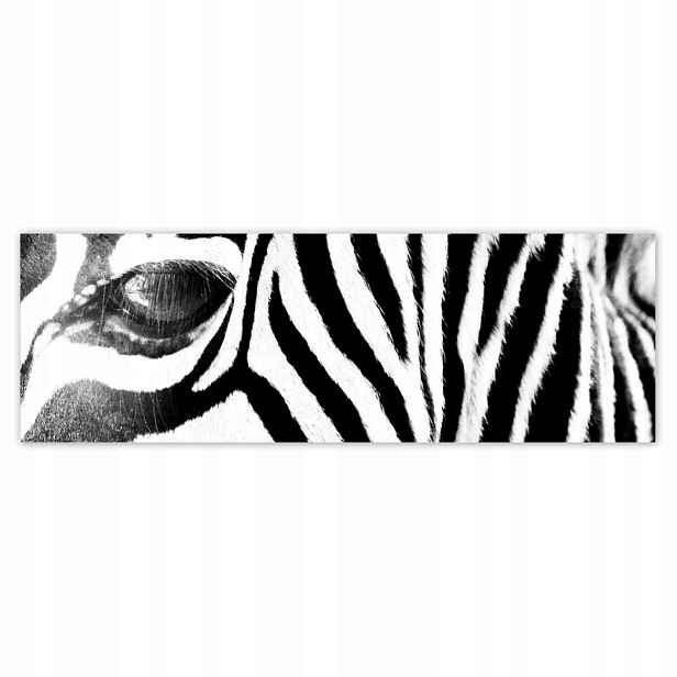 Plakáty 200x66 Zebra Pruhy