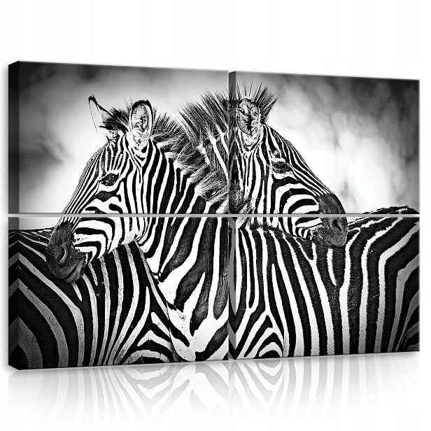Obraz 120x80 Zebra pruhy černobílé safari zvířata příroda vzor grafika