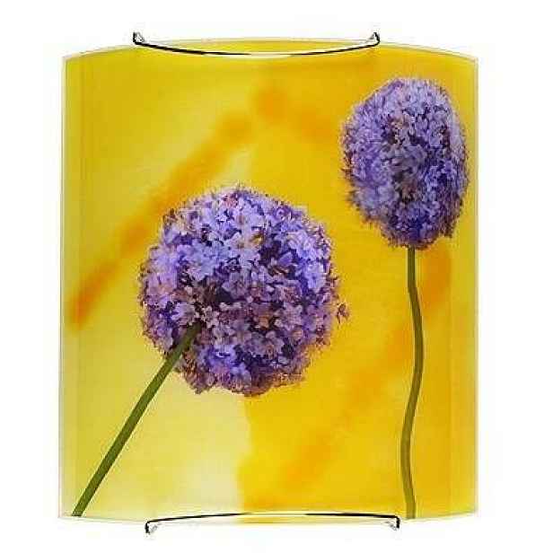 Nástěnná lampa 1X60W E27 vícebarevná GARLIC
