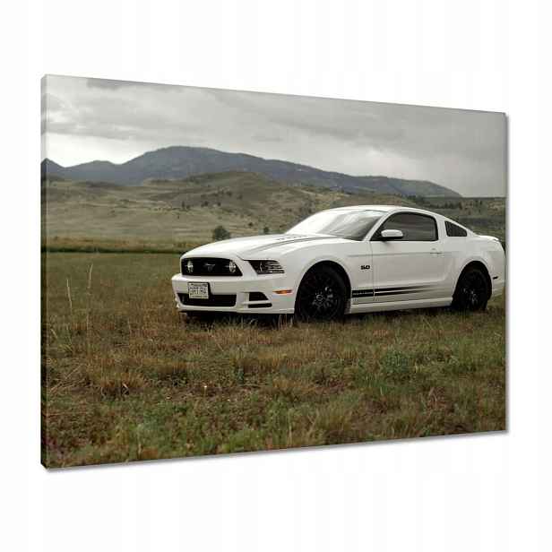 Obrazy 80x60 Bílý Ford Mustang