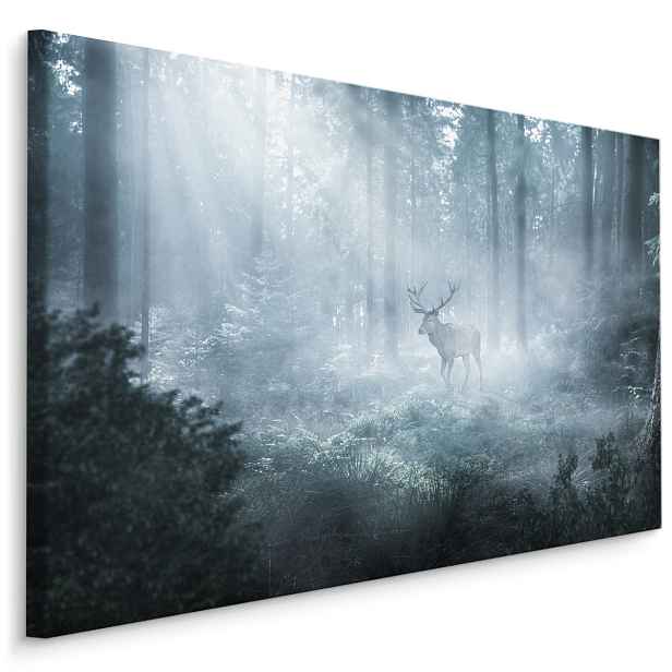 Plátno Jelen V Temném Lese Varianta: 30x20