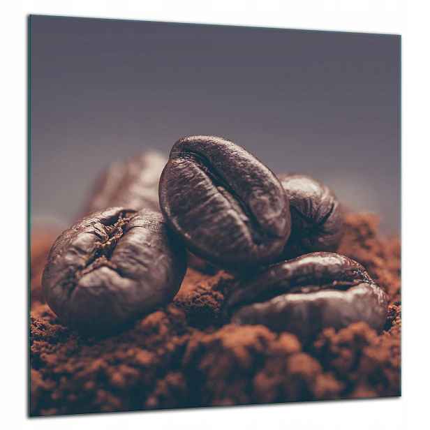 Skleněná Ochranná Deska Panel Lepidlo 60x65 Káva
