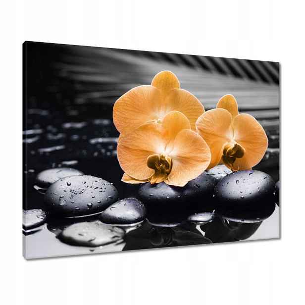 Obrazy 80x60 Oranžové orchideje