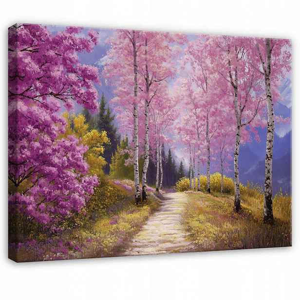 Wallarena OBRAZ na plátně Bříza růžová lesní 60x40 cm