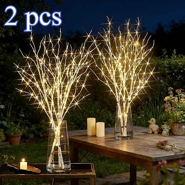 TEMU Sada 2 svítících světel ve tvaru březových větví, elegantní stolní dekorativní lampa, módní rohová domácí dekorace, sváteční atmosférická