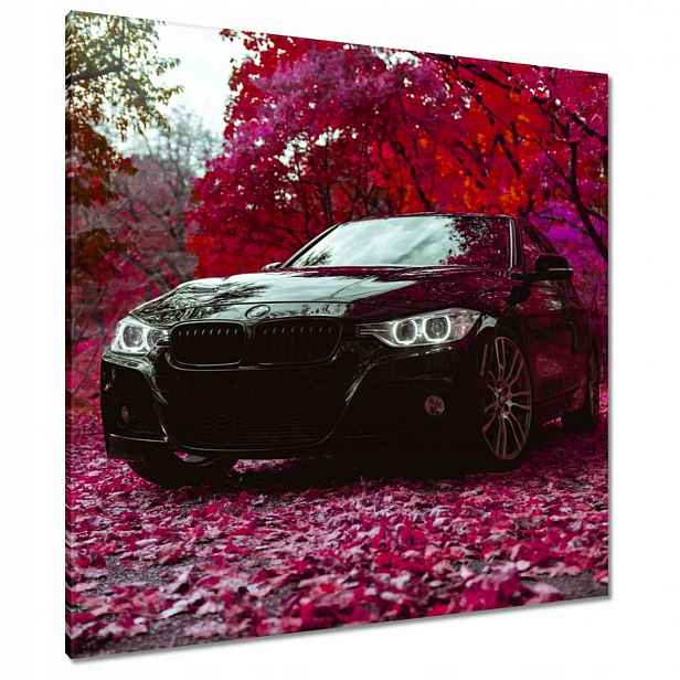 Černé obrazy 90x90 Bmw Podzim