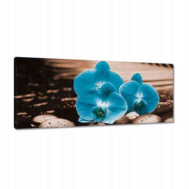 Obrazy 100x40 Tyrkysový orchidej