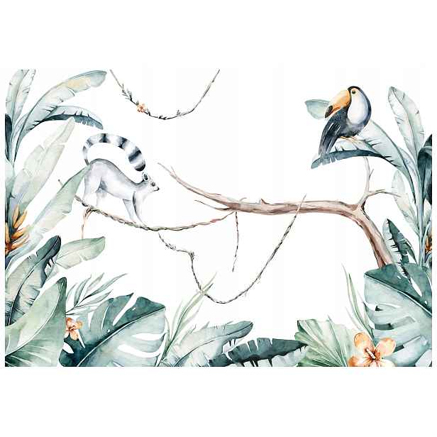 Vliesová fototapeta Lemur Tukan Tropiki Bílé pozadí Radost 350x250 lepidlo