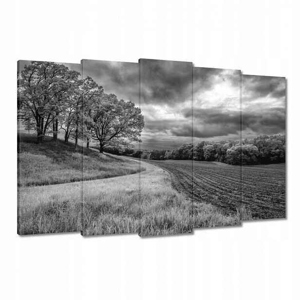 Obrazy 150x95 Černobílé pole