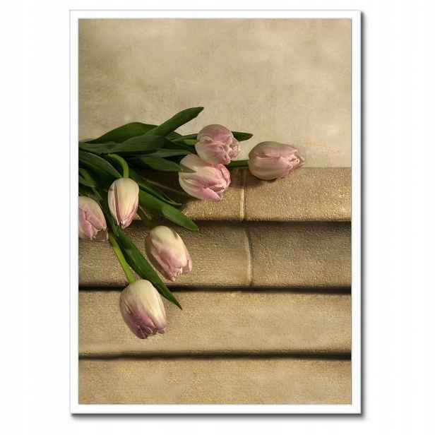 Plakáty v rámu 50x70 Kytice růžových tulipánů