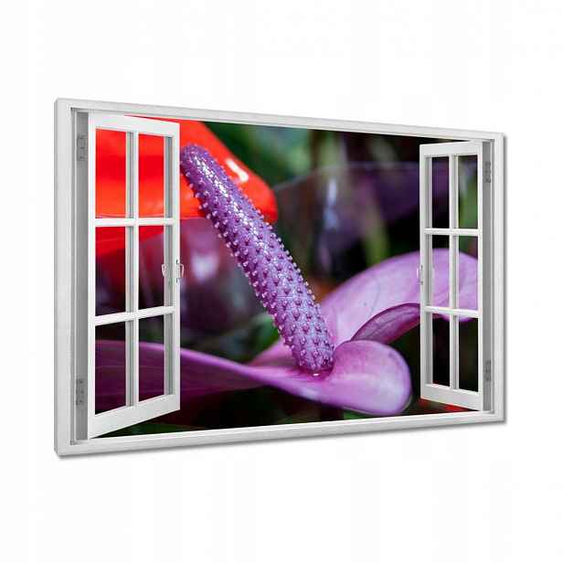 Obrazy 120x80 Fialové anturium