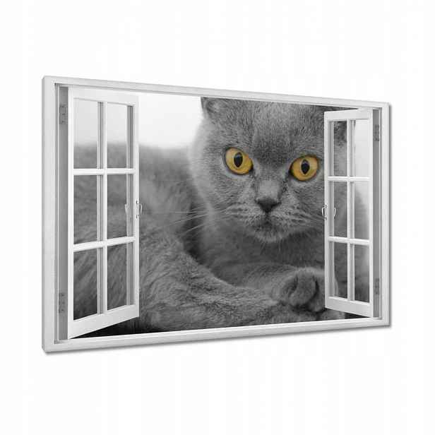 Obrazy 90x60 Šedá britská kočka