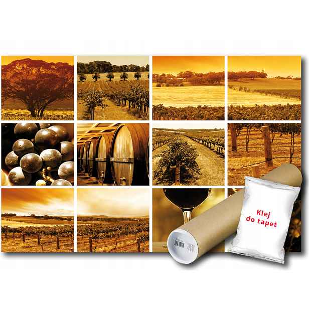 Fototapeta Vino Vinice 20A V4 254x184 F106