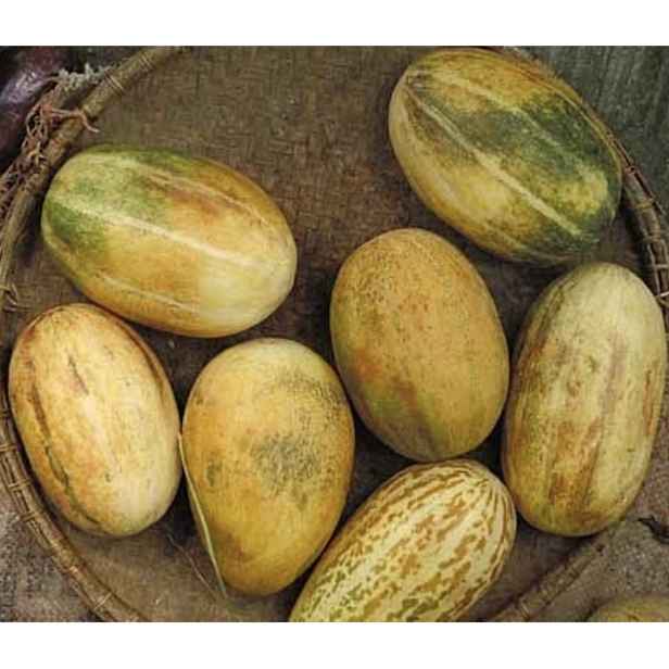 Snap Melon