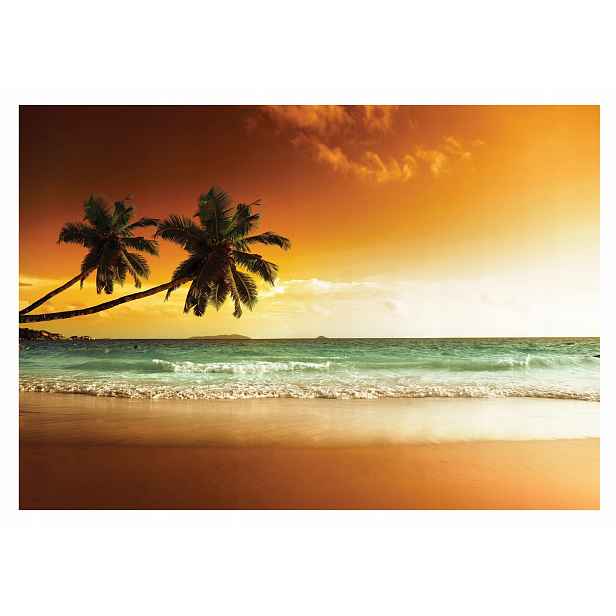 Fototapeta Ocean Palmy 3D Západ slunce 368x254