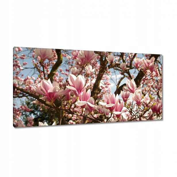 Obrazy 115x55 Magnolie Květiny Světle Modrá