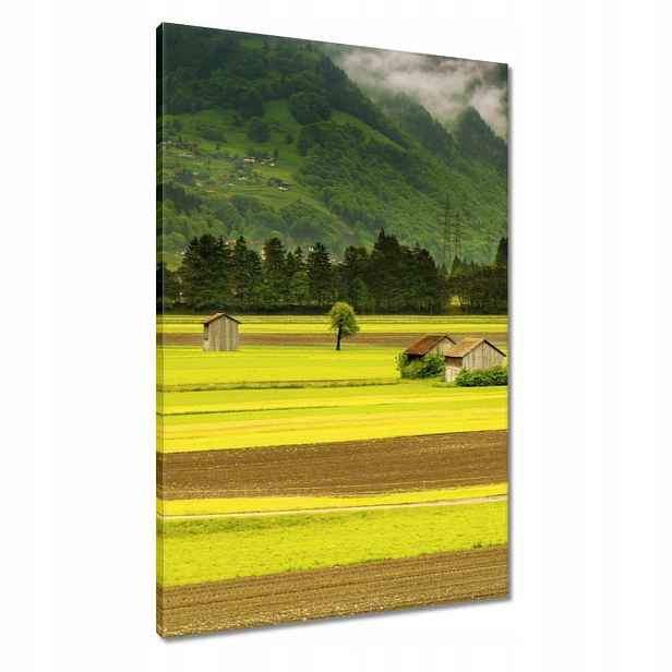 Obrazy 60x90 Zelené lány