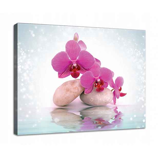 Obraz Na Plátně Canvas 80x60 Orchidej Orchidej