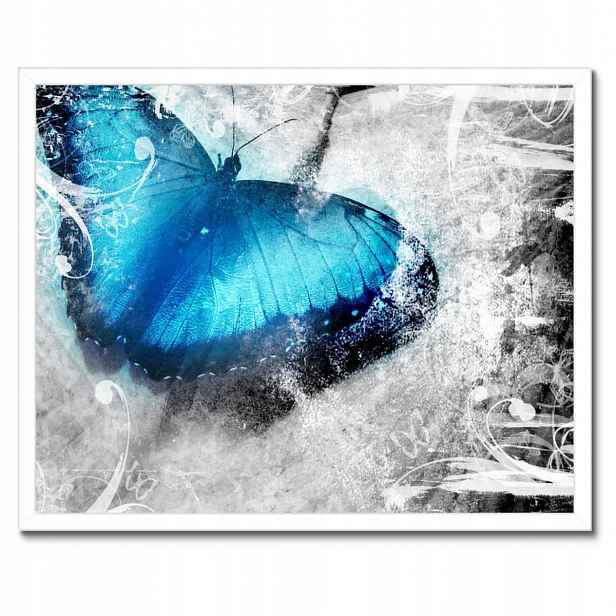 Plakáty v rámu 50x40 Jemný motýlek