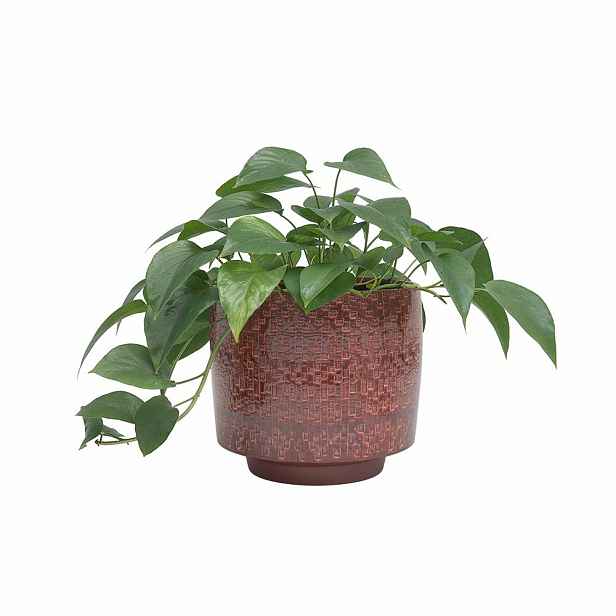 Keramický ručně vyrobený obal na květináč ø 21 cm Minerva – Artevasi