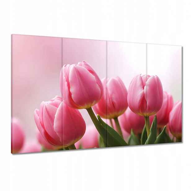 Obrazy 120x80 Růžové tulipány