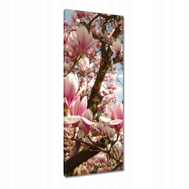 Obrazy 40x100 Magnolie Květiny Světle Modrá