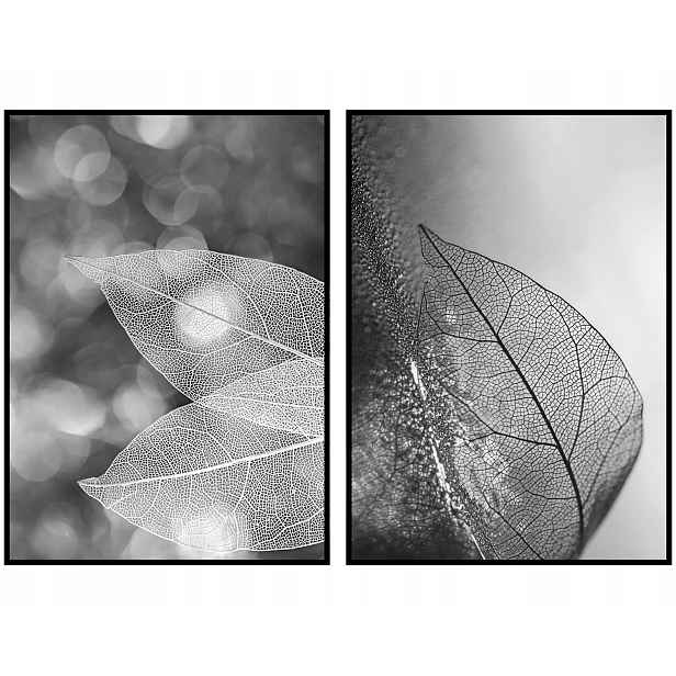 Plakáty foto listy černobílé 2ks 50x70cm
