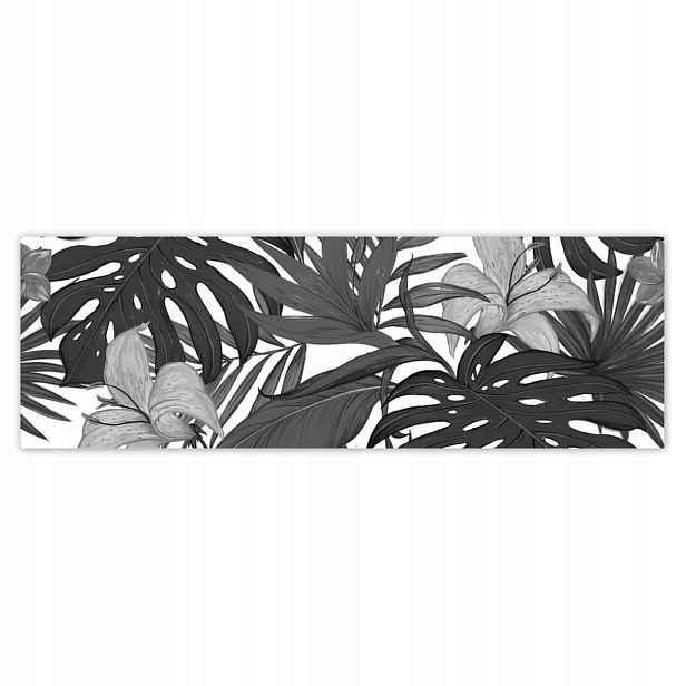 Fototapety 200x66 Černobílá monstera