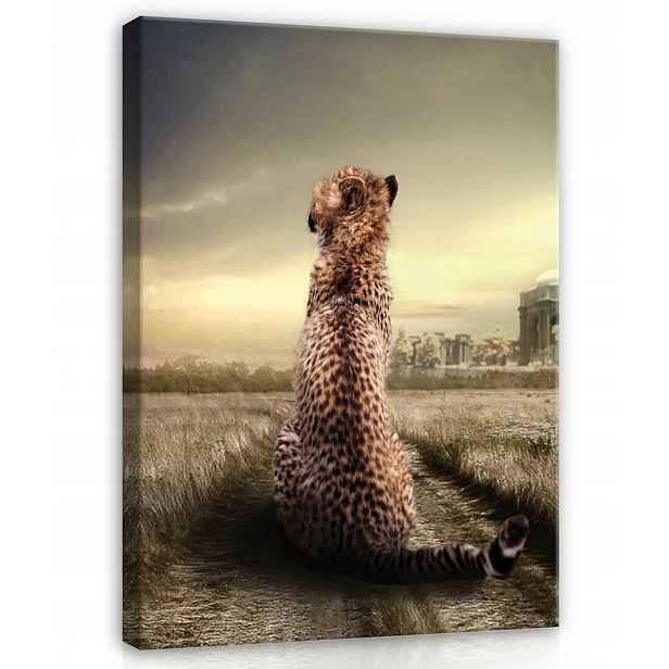 Obraz Na Plátně Plátno 50x70 Gepard Kočka Příroda