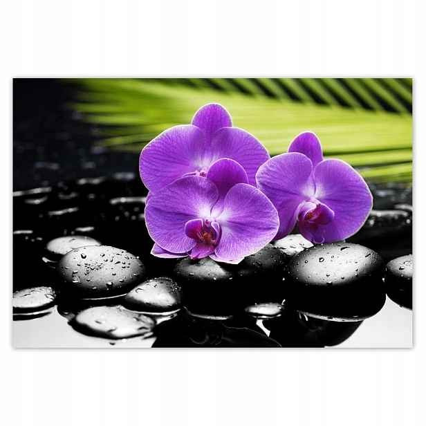 Plakáty 200x135 Fialové orchideje