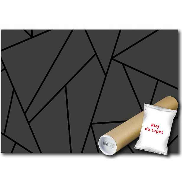 Vinylová fototapeta abstrakce geometrie černá linky trojúhelník 152x104