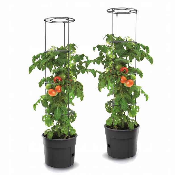2x Květináč květináč secí stroj rajčata jahody okurky 39,2 cm