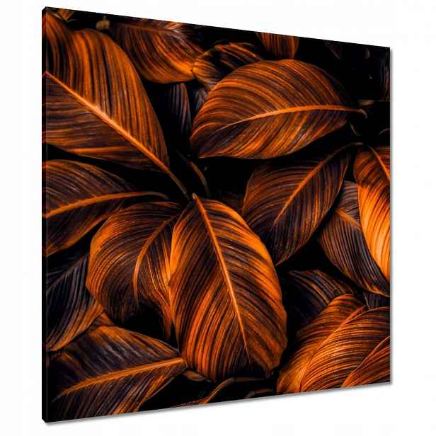 Obrazy 80x80 Oranžové listy
