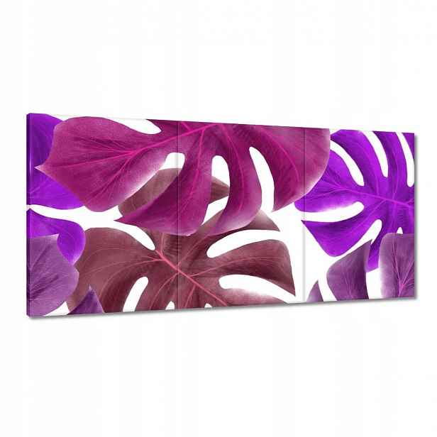 Obrazy 180x90 Monstera Listy Fialová