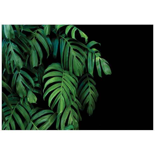 Tapeta Zelené listy monstery minimalismus skandinávský loft 208x146 lepidlo