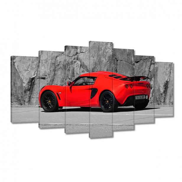 Obrazy 140x80 Červený Lotus