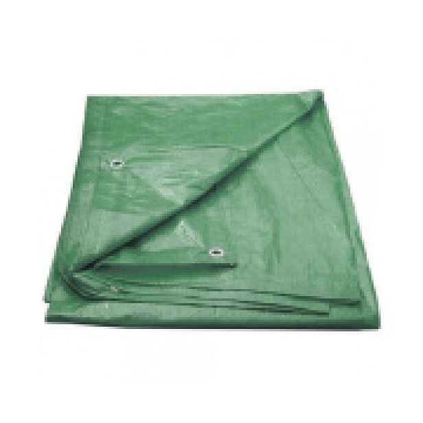 Plachta zakrývací s oky 5x6 m 100g/m2 Proteco 10.88-P100-5-6