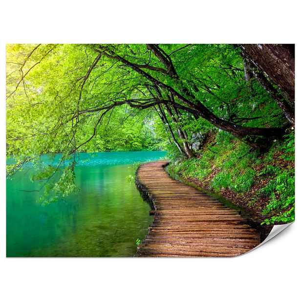 Muralo FOTOTAPETA do Obývacího Pokoje Dřevěné Molo Jezero Stromy Rostliny Příroda 150x105