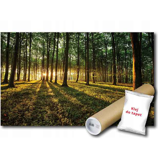 Vinylová fototapeta Krajina Les Stromy Slunce 152x104