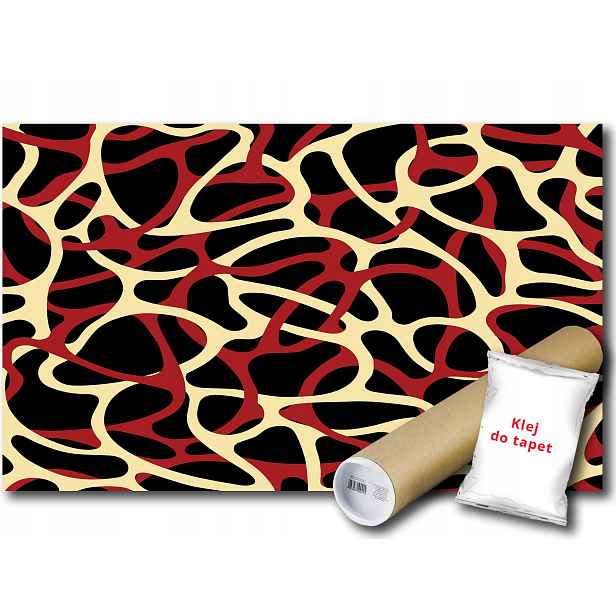 Fototapeta Abstrakcja 11A Fxl 208x146 F471