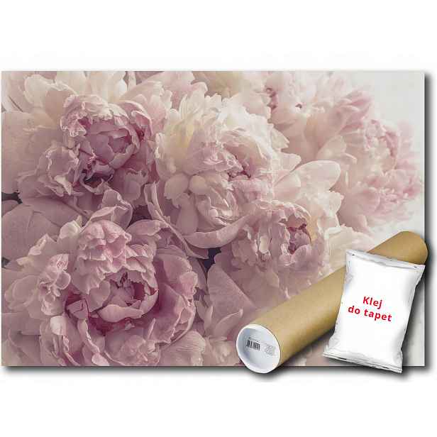 Vinylová fototapeta Pivoňky Květ 152x104