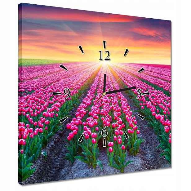 Hodiny 40x40 Moře tulipánů Květiny