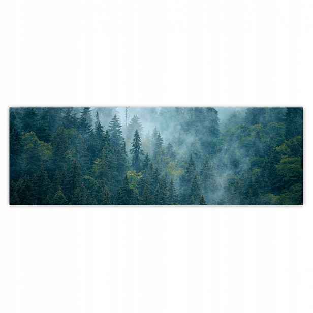 Fototapety 312x104 Les v mlze Cestování