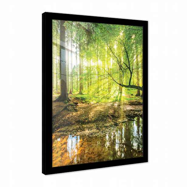 Obraz Na Zeď V Rámu Plakát Do Ložnice Obývacího Pokoje Les Příroda Pohled 100x70