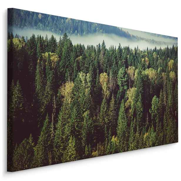 Plátno Les S Mlhou V Pozadí Varianta: 90x60