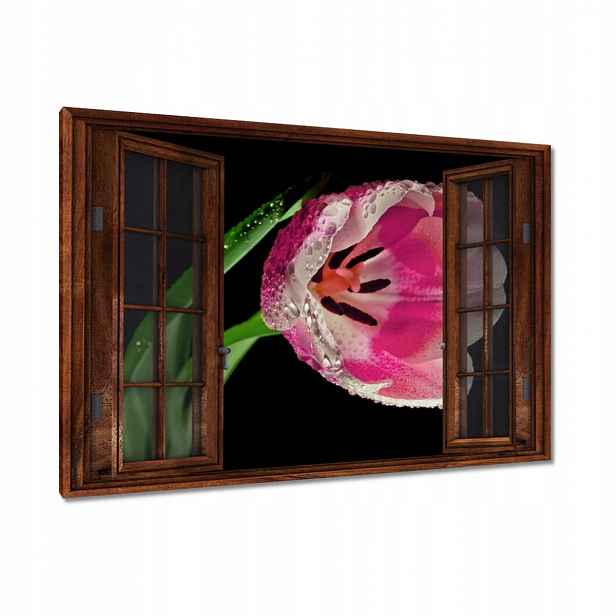 Obrazy 120x80 Růžový tulipán