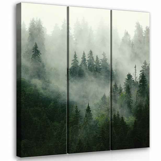 Obraz Les V Mlze Triptych 3 Obrazy Na Plátně Stěna Obrazy Na Stěnu 90x100