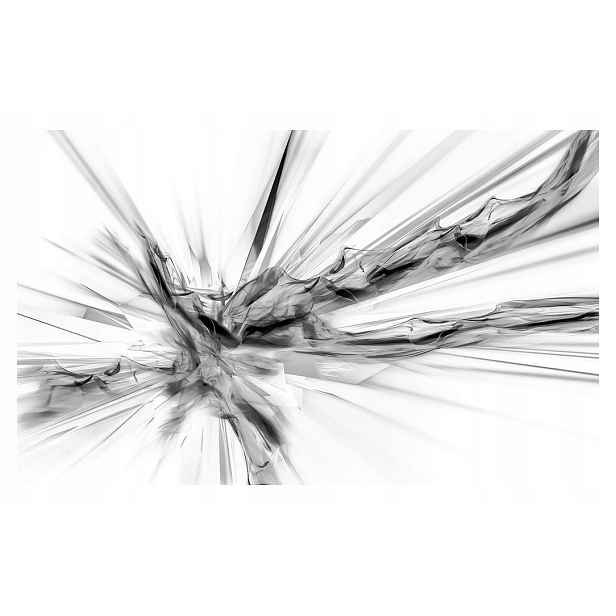 Fototapeta Abstraktní linie, černobílá vinylová geometrie 254x184 lepidlo