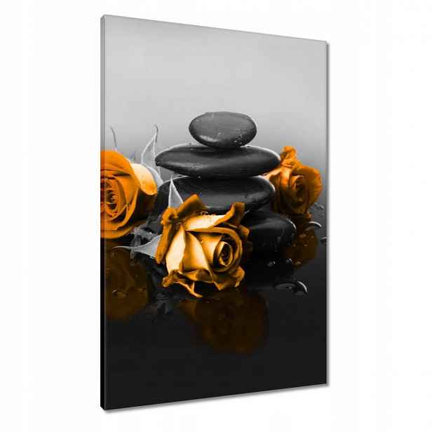 Obrazy 60x90 Oranžová růže Spa