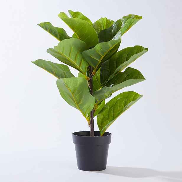 Butlers FLORISTA Ficus lyrata v květináči 40 cm